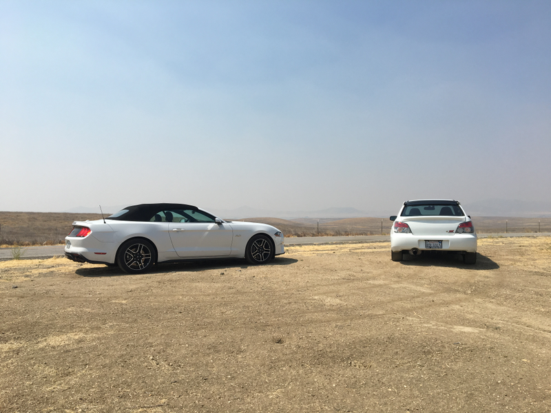 Illustration for article titled PRCOTY - Performance Rental Car of the Year